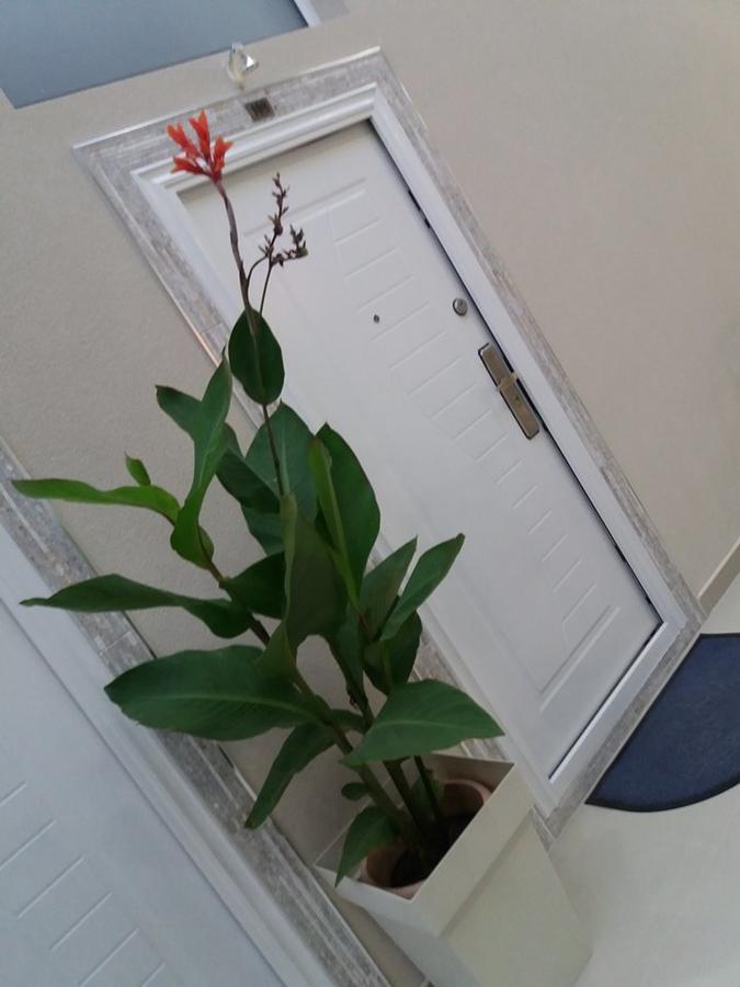 Atina Lux Hostel Leskovac  Eksteriør billede